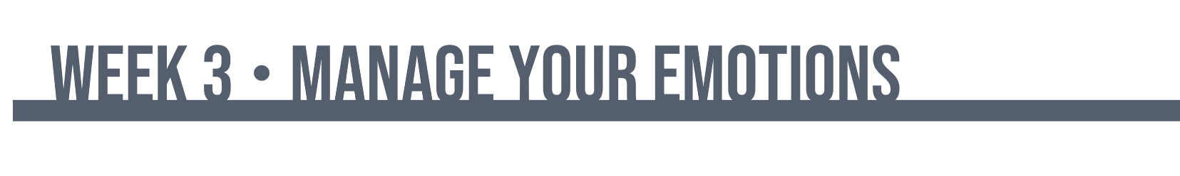 Week 3 banner