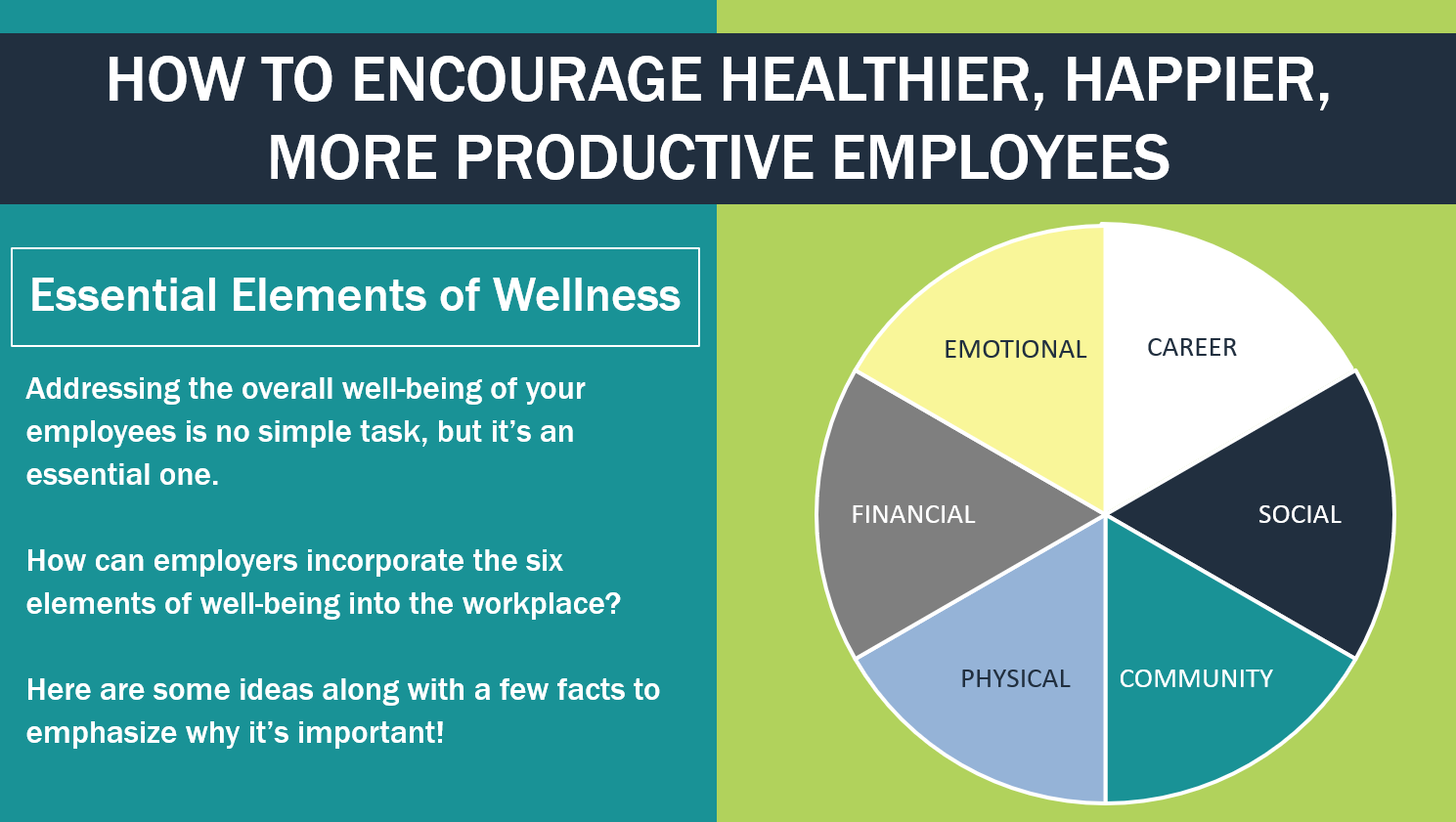 elements wellness business plan